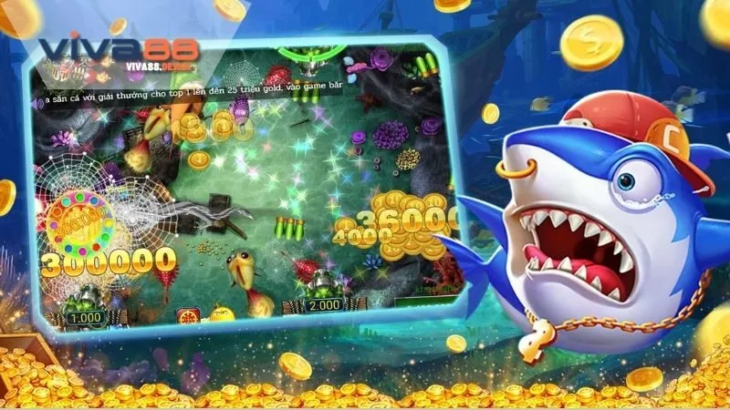 ban-ca-xeng-meo-choi